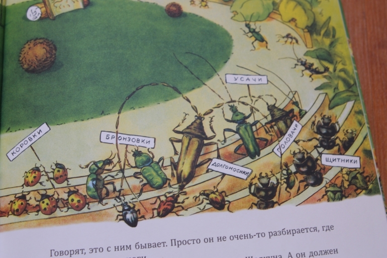 Репортаж со стадиона