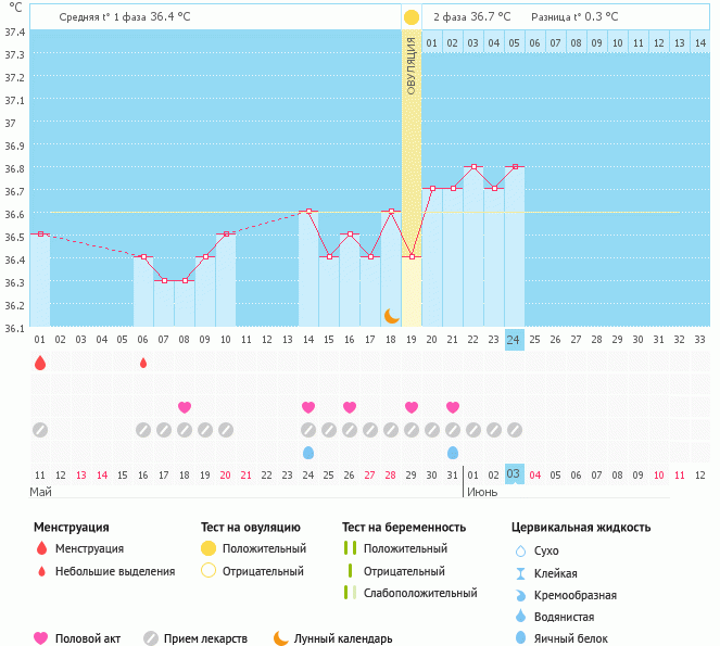 Овуляция календарь