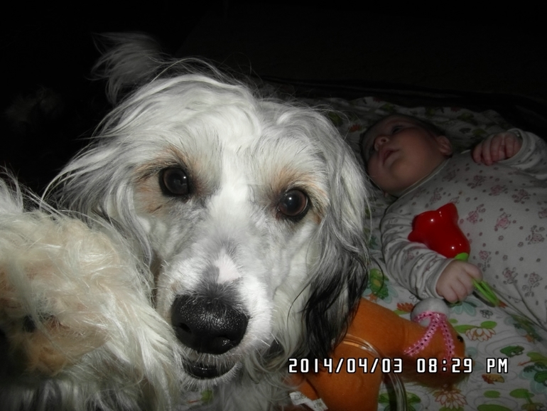 Скоро год как у нас появилась еще одна дочка)