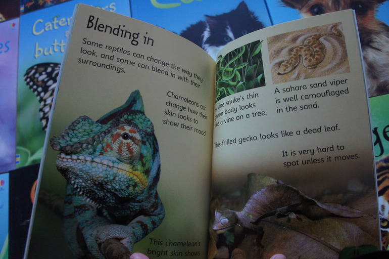 Книги для чтения на английском