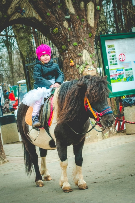 Наша первая фотосессия.