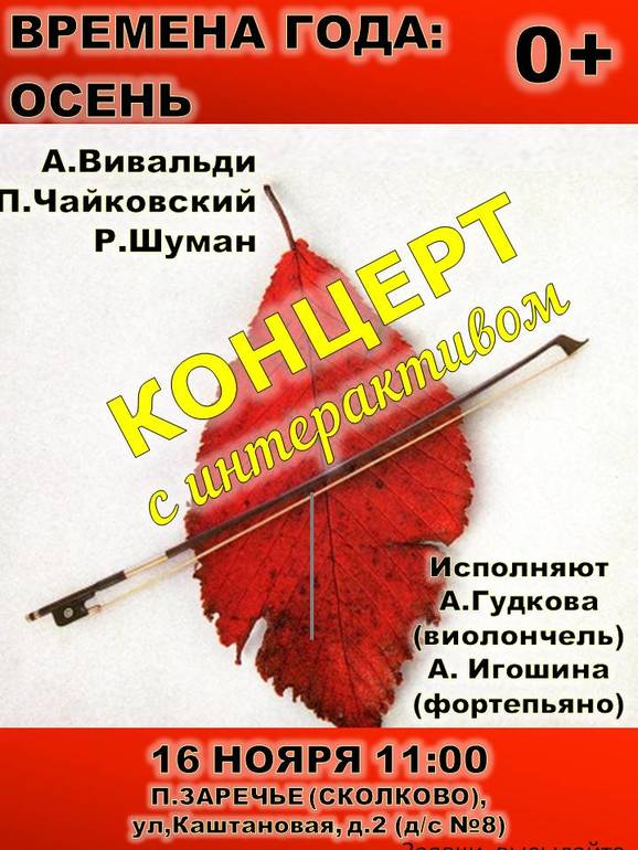 Проект концертини concertiny