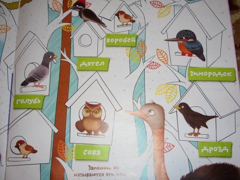 Почемучка и друзья