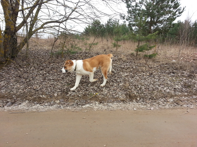 девочке 5 месяцев)