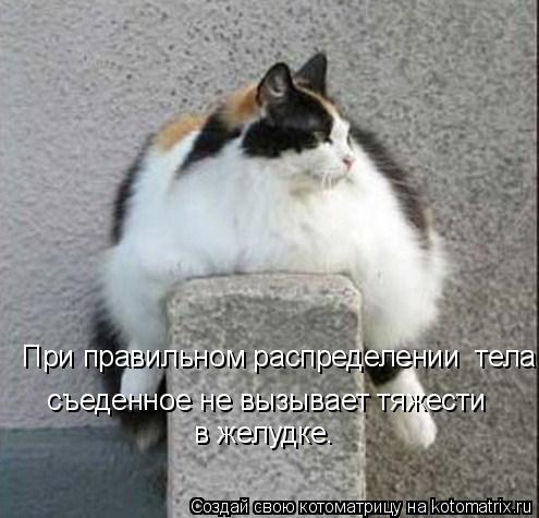 0311c0c848cb5cd784afa050ae76284a.jpg