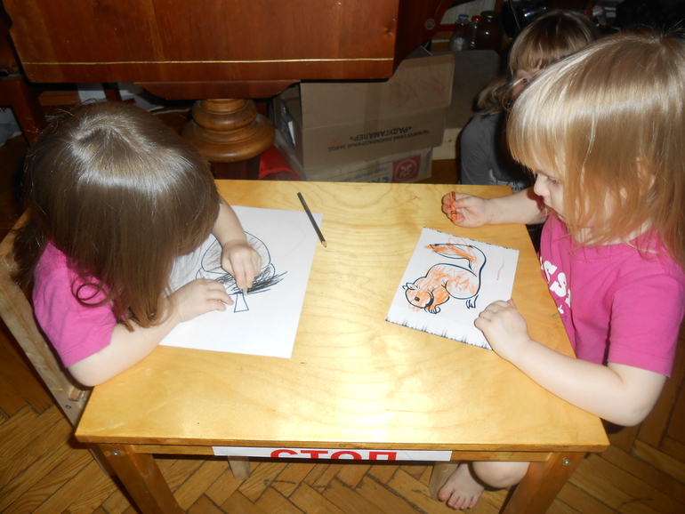 Как живет белка зимой (отчет)