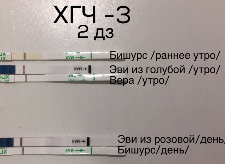 Тесты и хгч фото