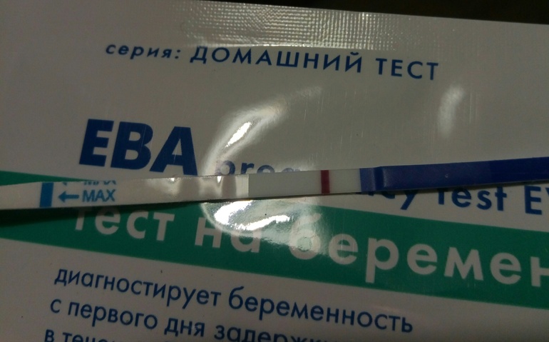 Фото беременности на тесте ева