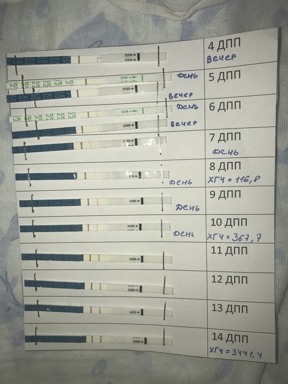 Какой хгч на 10 день после переноса
