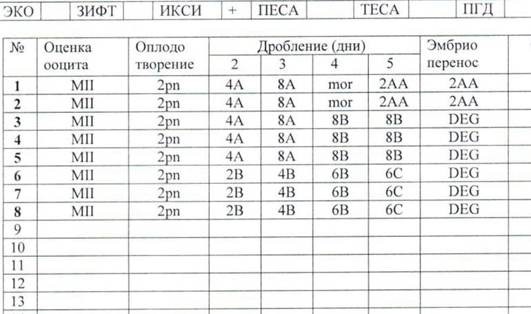 Эмбриологическая карта расшифровка