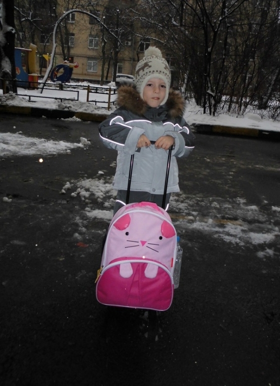 Zoo Luggage детский чемодан на колесах с выдвижной ручкой. 1550р