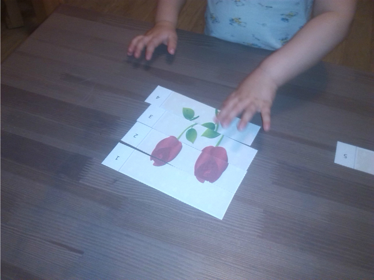 Времена года. Лето.