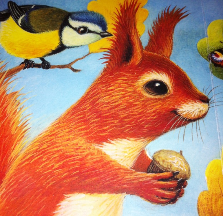 Книжки игрушки-картонки. 1 год и 5 месяцев.