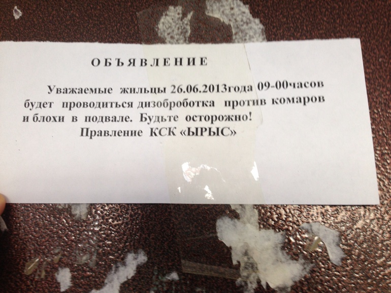 Еще про блоху нашла!