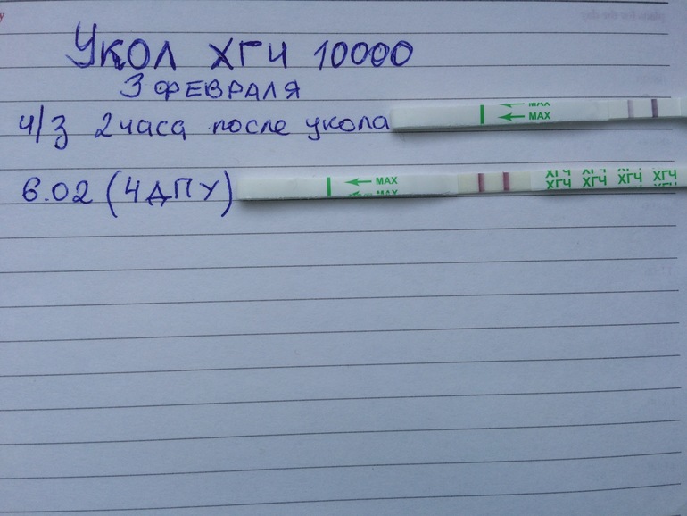 Овуляции после укола хгч. ХГЧ укол 5000 ед. Укол хорионический гонадотропин 10000. ХГЧ укол 10000 ед. Укол ХГЧ при стимуляции внутримышечно.