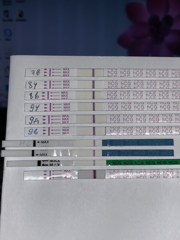 Тест на беременность на 5 день после овуляции