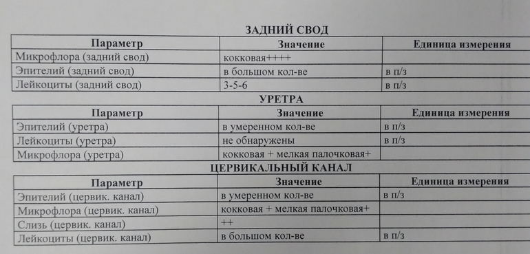 Мазок на флору коки. Мазок на степень чистоты из заднего свода. Мазок из заднего свода влагалища. Мазок на ст чистоты.