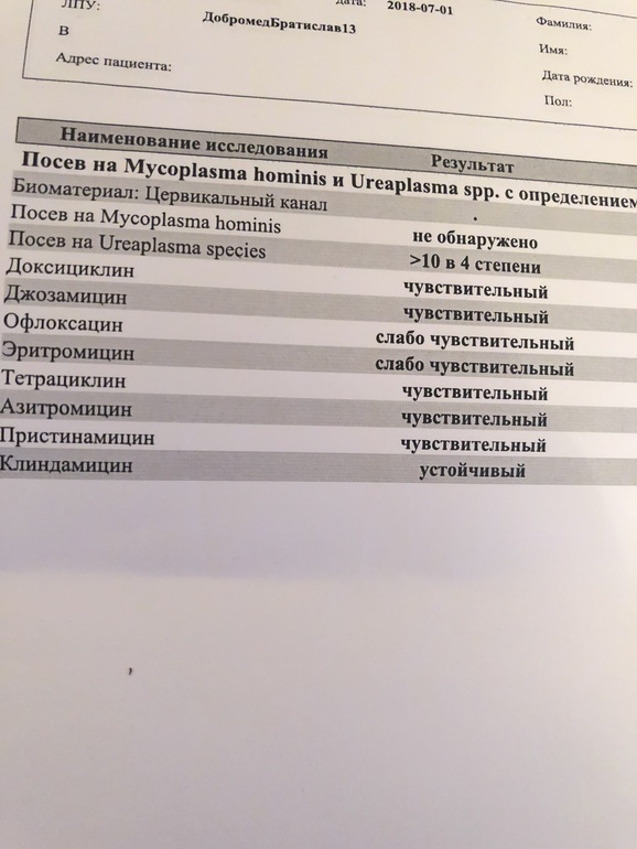 Пцр анализ уреаплазма. Бак посев уреаплазма уреалитикум. ПЦР уреаплазма уреалитикум норма. ПЦР микоплазма.