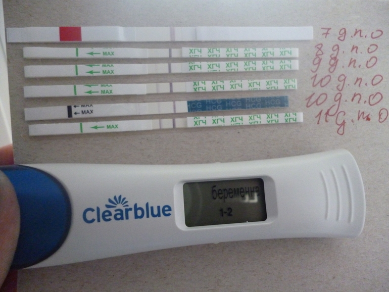 Электронка при беременности. Электронный тест на беременность на 12 ДПО. 11 ДПО тест на беременность. Тест на беременность на 11 день после овуляции. Тест на беременность 11 день.