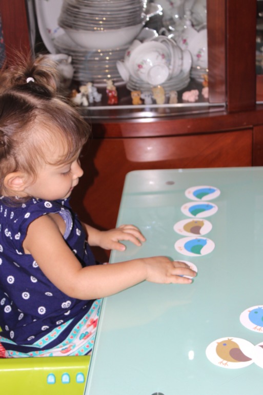 Птичья неделя. Много фото