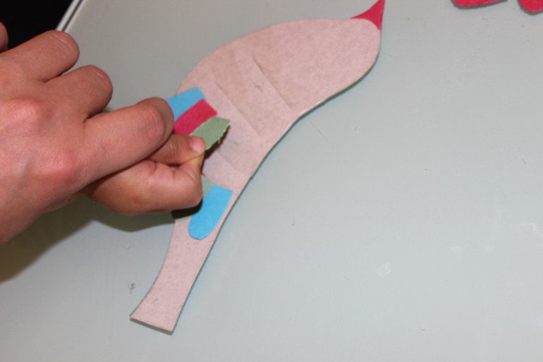 Птичья неделя. Много фото