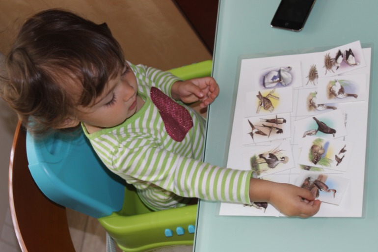 Птичья неделя. Много фото