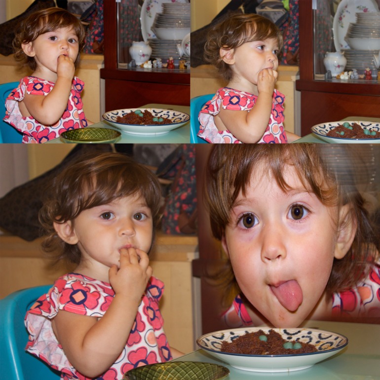 Птичья неделя. Много фото