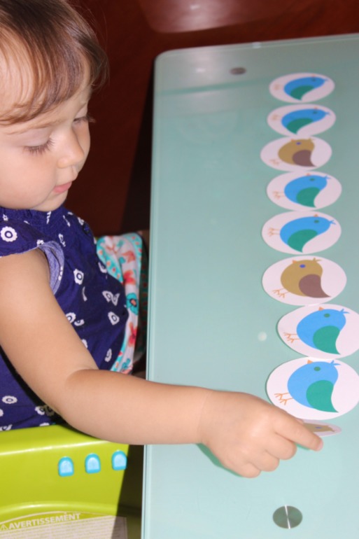 Птичья неделя. Много фото