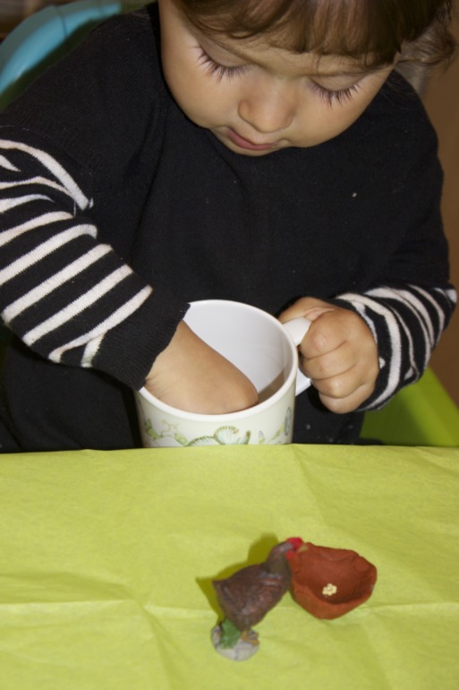 Птичья неделя. Много фото