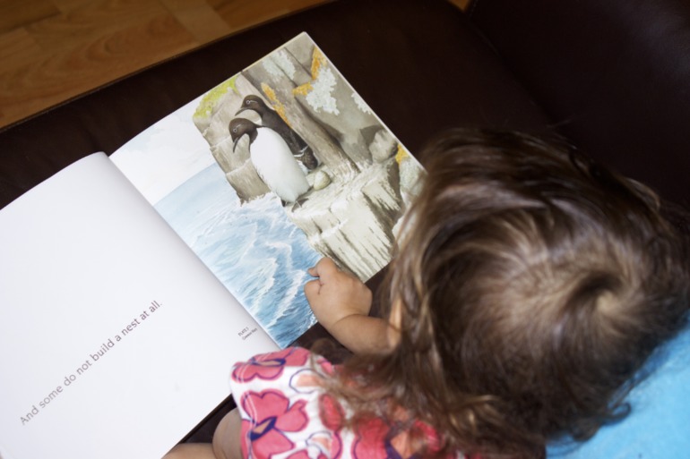 Птичья неделя. Много фото