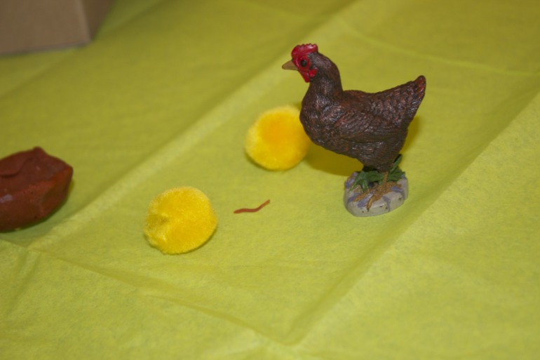 Птичья неделя. Много фото