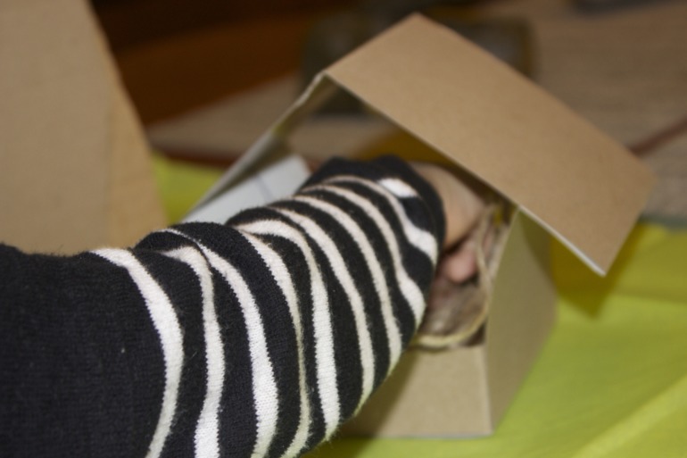 Птичья неделя. Много фото