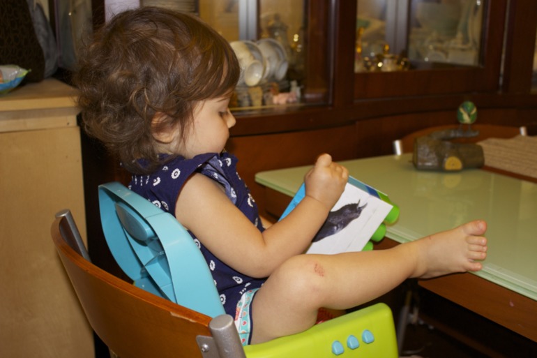 Птичья неделя. Много фото