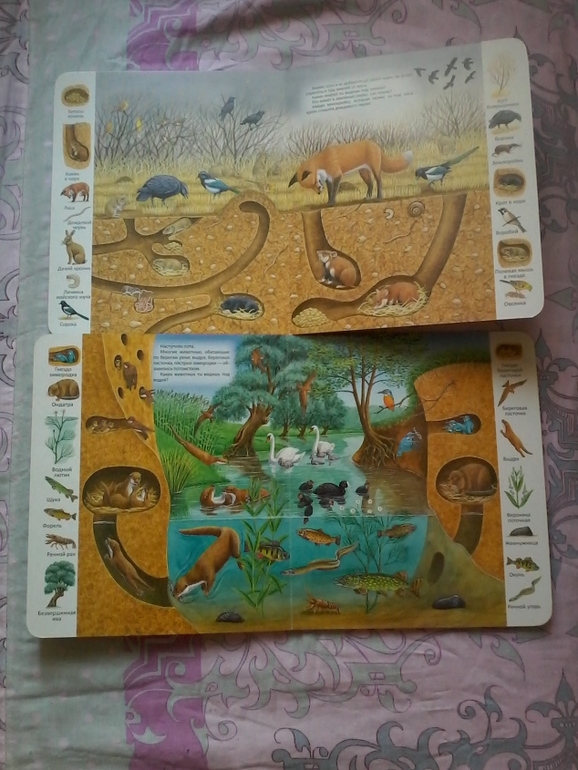 Мои хвастушки)