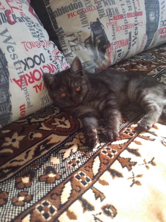 Как назвать?