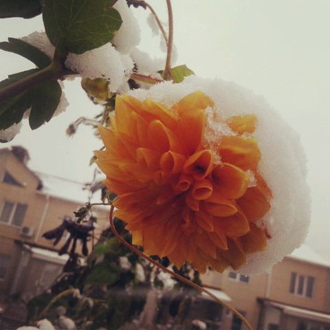 ранняя зима