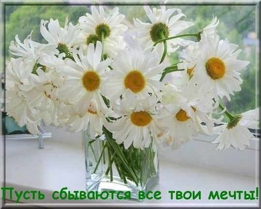 491e53761e1b831ee07ffafaefe112fd.jpg