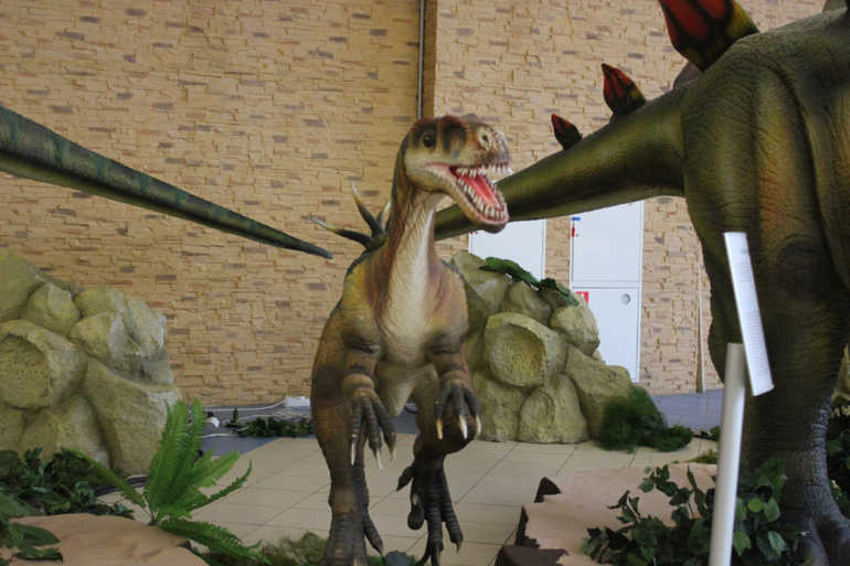 Паровозия день первый