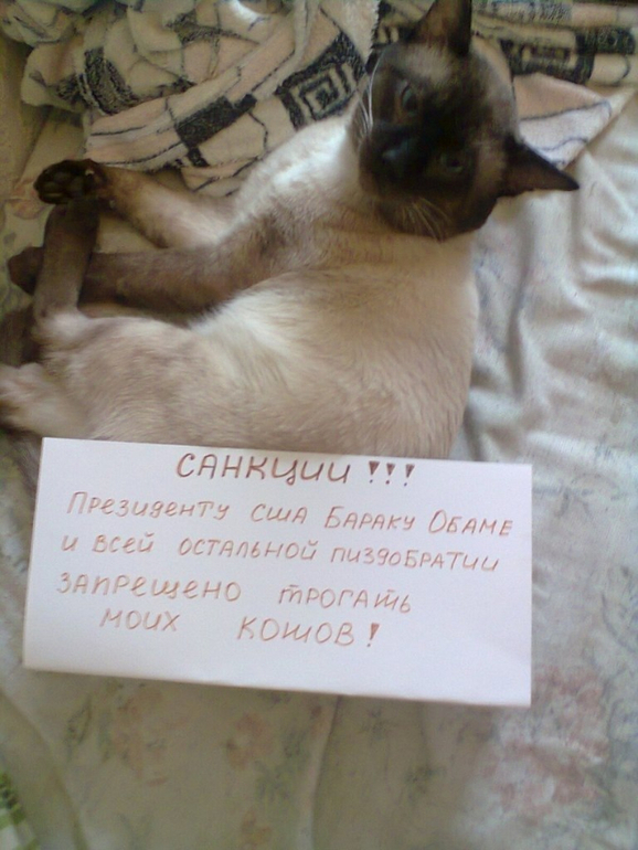 Еще санкции)))