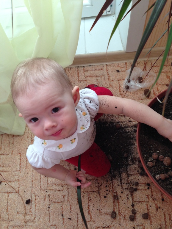 Все ты, моя Ману