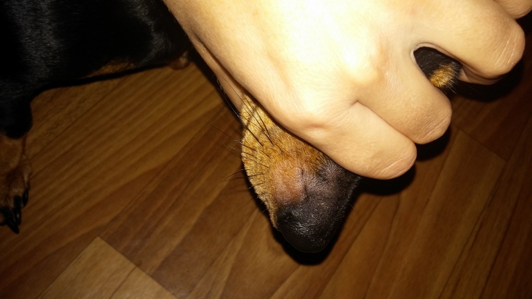 что на носу?