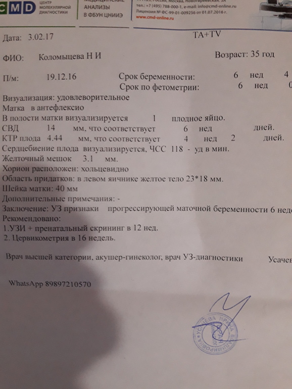 Что такое цервикометрия при беременности. УЗИ 6 недель сердцебиение. Цервикометрия заключение УЗИ. Цервикометрия протокол УЗИ. УЗИ цервикометрия при беременности.