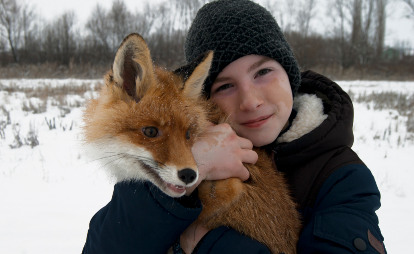 Картинка