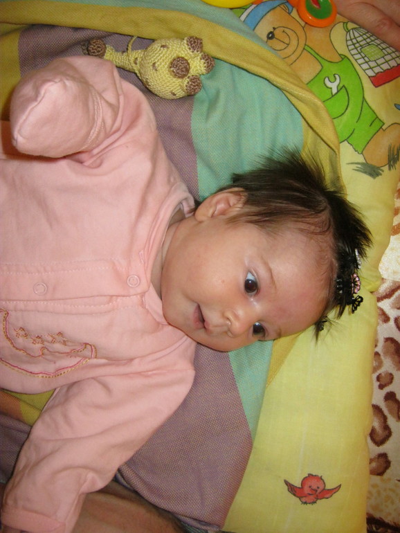d9dbc7230a1923f631c9b5937ad8dafd.jpg