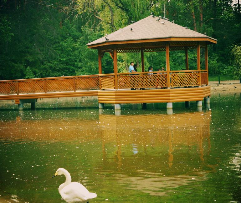 Зоопарк