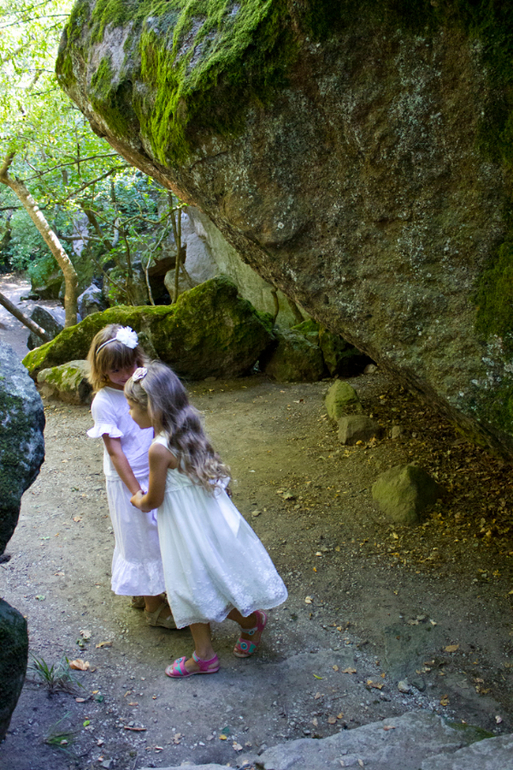 Нимфы в Алупкинском саду. Воронцовский парк