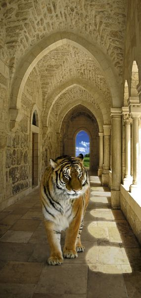 Просто невероятной красоты ФОТООБОИ!!!! Торопимся! Минималка маленькая