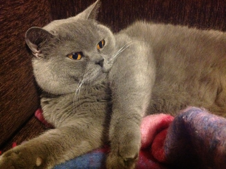 А много ли для счастья надо?