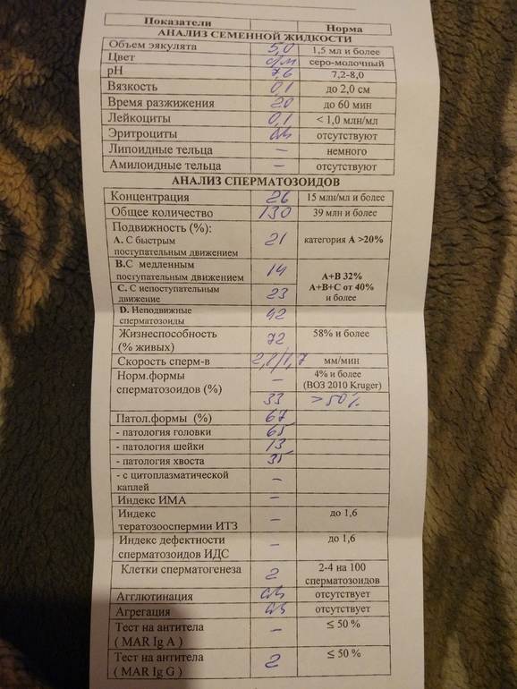 сделать анализ спермограммы. спермограмма анализ. нормоспермия анализ. мужское бесплодие спермограмма. прием андролога + спермограмма.