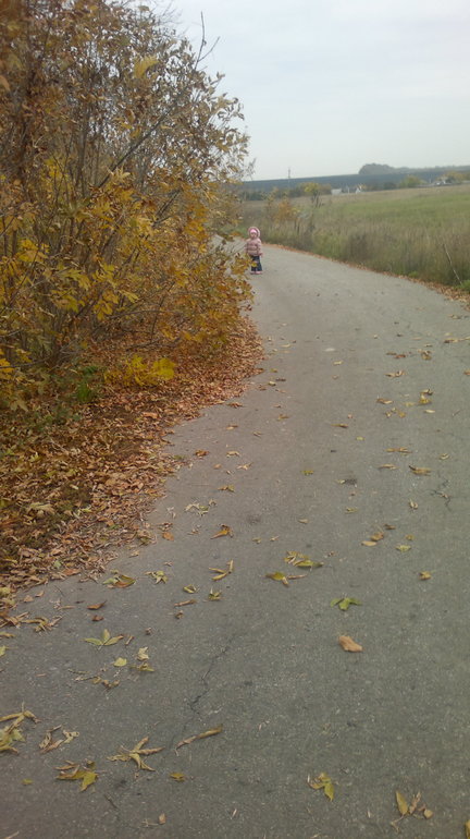 Моя Родина...